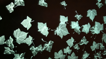 Tile masters – Glass Cutting 6