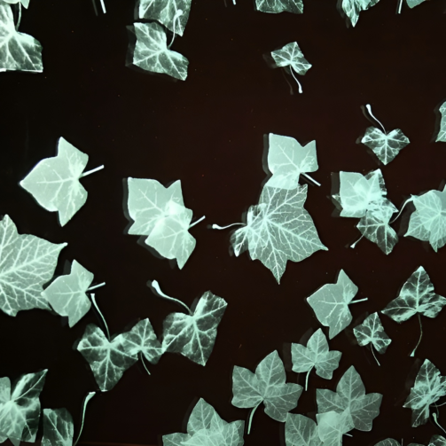 Tile masters – Glass Cutting 6