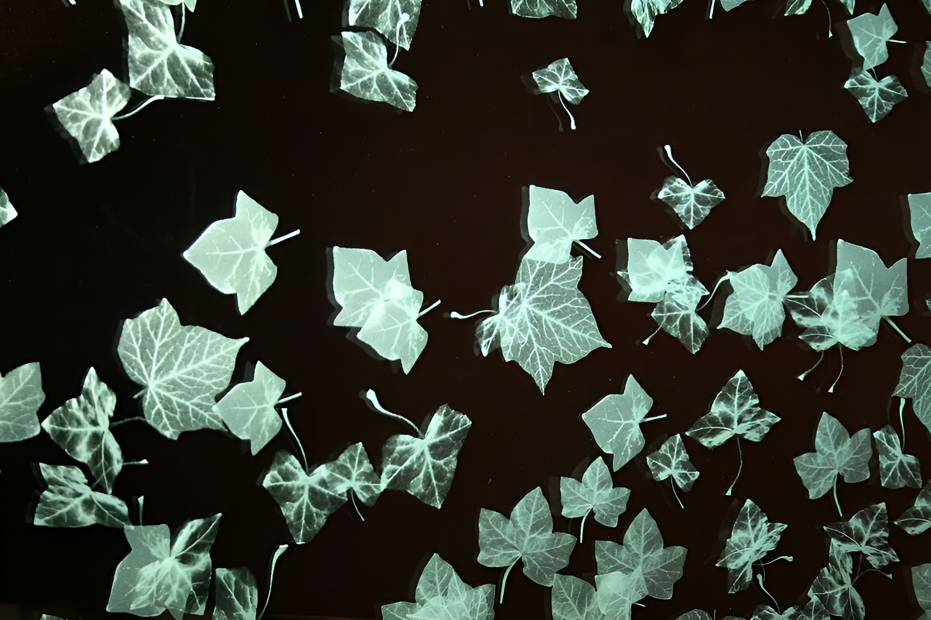 Tile masters – Glass Cutting 6