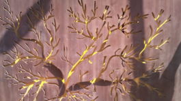 Tile masters – MDF 3